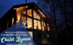 Chalet Lignum, Exceptionnel - Sauna & Spa - Vue Sur Les Montagnes, 8 Minutes Des Pistes.